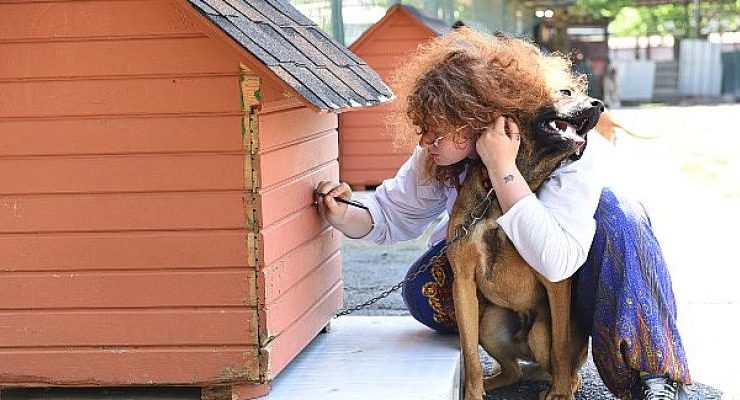 Dünya hayvanları koruma günü Kadıköy’de kutlanacak