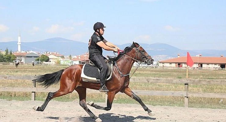 Rahvan At Yarışı İhsaniye Koşusu Büyük Heyecana Sahne Oldu